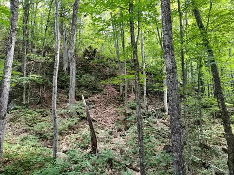 80 Acres County Road Gga, Ishpeming, MI 49849 photo 42