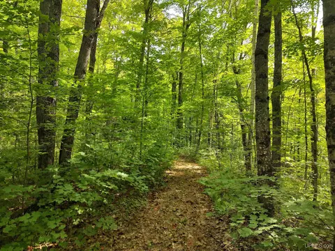 80 Acres County Road Gga, Ishpeming, MI 49849 photo 39