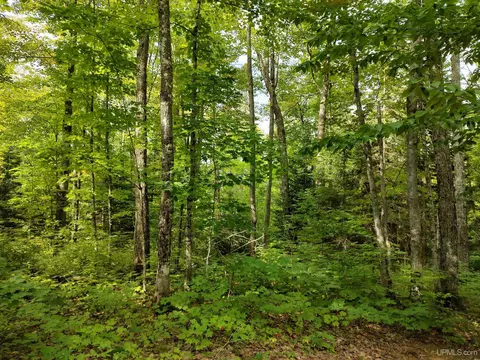 80 Acres County Road Gga, Ishpeming, MI 49849 photo 44