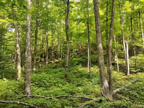 80 Acres County Road Gga, Ishpeming, MI 49849 photo 40