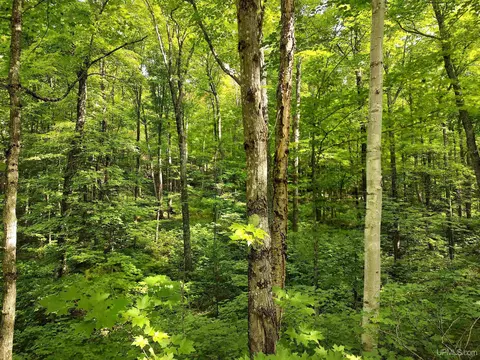 80 Acres County Road Gga, Ishpeming, MI 49849 photo 34