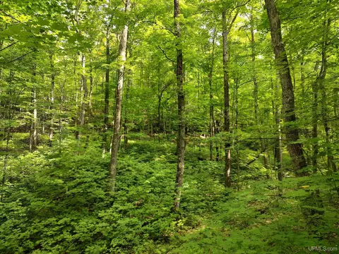 80 Acres County Road Gga, Ishpeming, MI 49849 photo 35