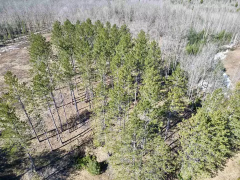 3205 Cr Su, Arnold, MI 49819 photo 15