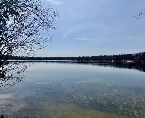 View/Area - 4690 E Arnold Lk, Harrison, MI 48625 photo 1 of 4