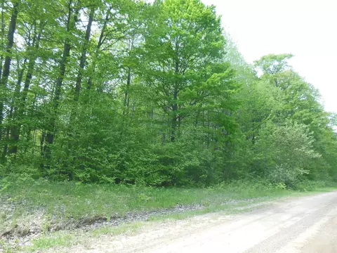 Other - 80 E Townline Lk, Harrison, MI 48625 photo 14 of 15
