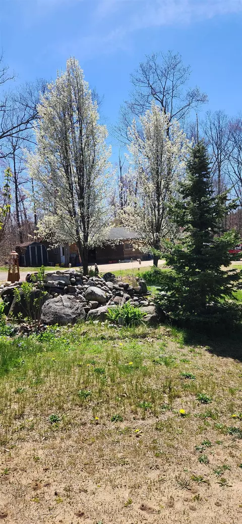 Exterior - 80 E Townline Lk, Harrison, MI 48625 photo 33 of 35