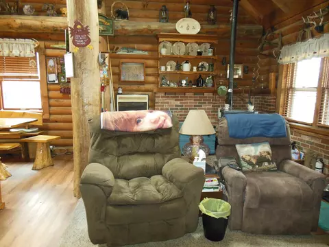 Living - 80 E Townline Lk, Harrison, MI 48625 photo 3 of 5
