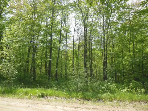 Exterior - 80 E Townline Lk, Harrison, MI 48625 photo 34 of 35