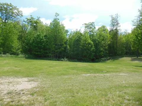 Exterior - 80 E Townline Lk, Harrison, MI 48625 photo 35 of 35