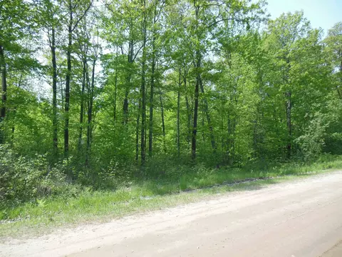 Other - 80 E Townline Lk, Harrison, MI 48625 photo 13 of 15