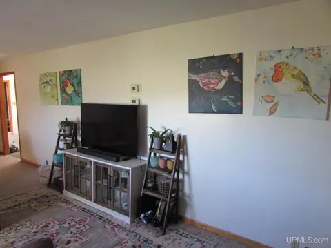 Living - 25485 Opal Rd, Watton, MI 49970 photo 3 of 4
