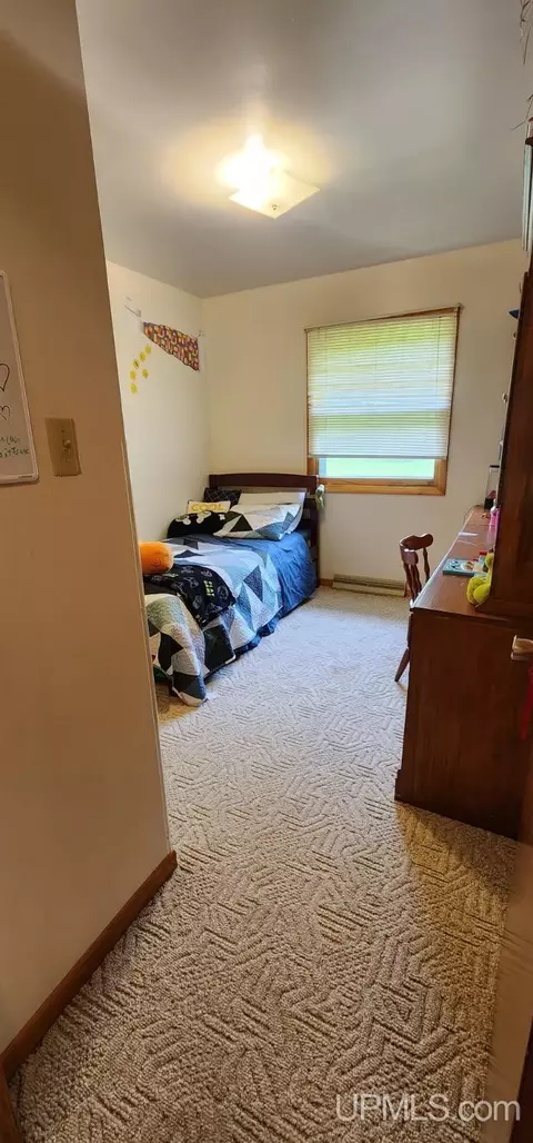 Other - 25485 Opal Rd, Watton, MI 49970 photo 20 of 21