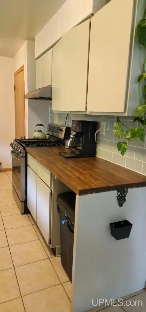 Kitchen - 25485 Opal Rd, Watton, MI 49970 photo 6 of 6