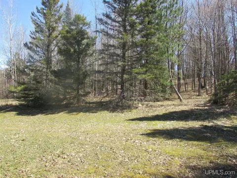 Exterior - 25485 Opal Rd, Watton, MI 49970 photo 6 of 14