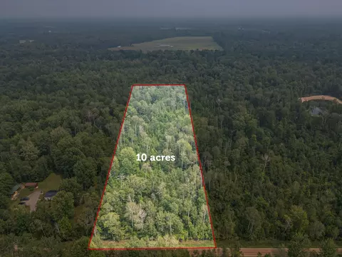 10 Acres Easton, Gladwin, MI 48624