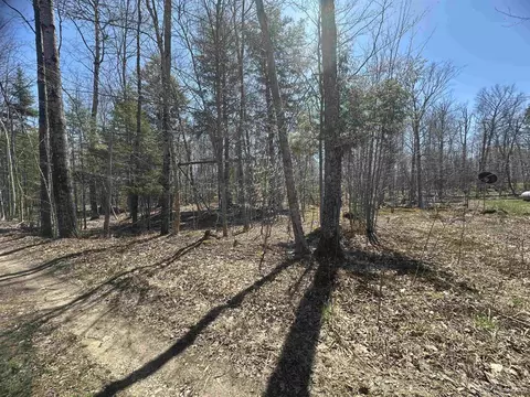 tbd Lot 29 1st St, Manistique, MI 49854