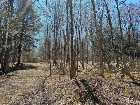 lot S 9th, Manistique, MI 49854