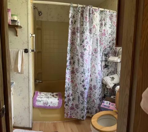 Bath - 11640 E Briggs, Riverdale, MI 48877 photo 3 of 4