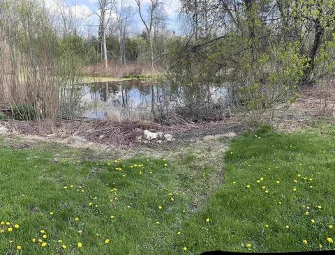 Other - 11640 E Briggs, Riverdale, MI 48877 photo 2 of 14