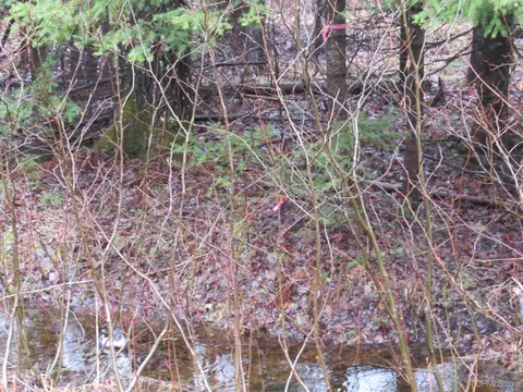 tbd Friday - Q1, Rapid River, MI 49878 photo 12