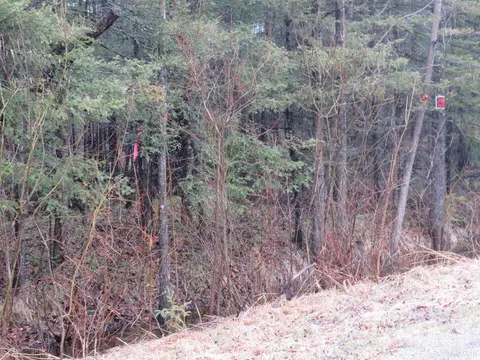tbd Friday - Q1, Rapid River, MI 49878 photo 7