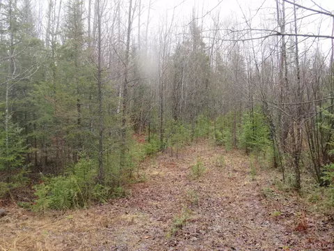 tbd Friday - Q1, Rapid River, MI 49878 photo 16