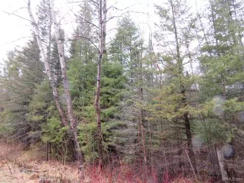 tbd Friday - Q1, Rapid River, MI 49878 photo 13