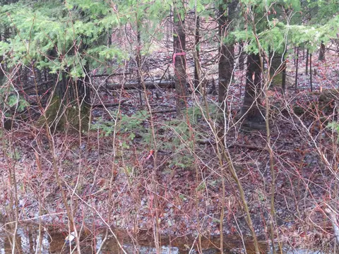 tbd Friday - Q1, Rapid River, MI 49878 photo 10