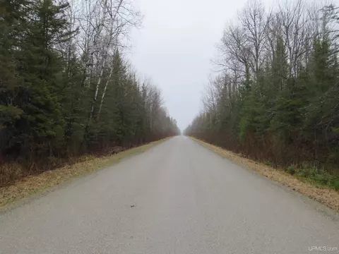 tbd Friday - Q1, Rapid River, MI 49878