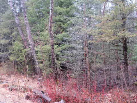 tbd Friday - Q1, Rapid River, MI 49878 photo 14
