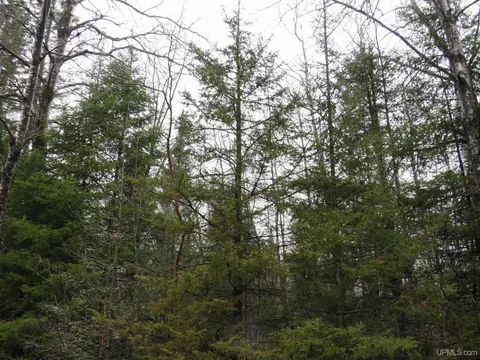 tbd Friday - Q1, Rapid River, MI 49878 photo 4