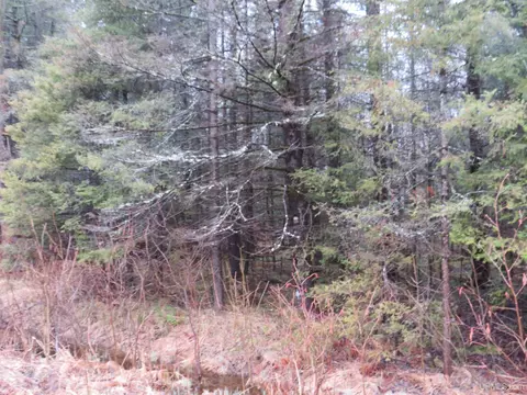 tbd Friday - Q1, Rapid River, MI 49878 photo 15
