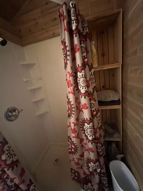 1571 Maple Pt, Beaverton, MI 48612 photo 33