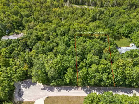 1 43 Acres Bolitho, Manistique, MI 49854
