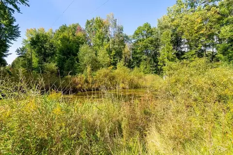 4158 Salt Riv, Shepherd, MI 48883 photo 28