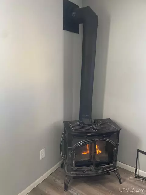 Other - 315 S First, Ishpeming, MI 49849 photo 3 of 5