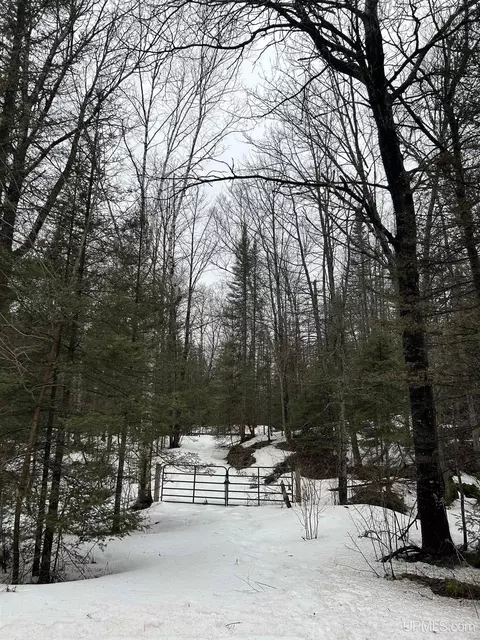 tbd County Rd Fd, Champion, MI 49814