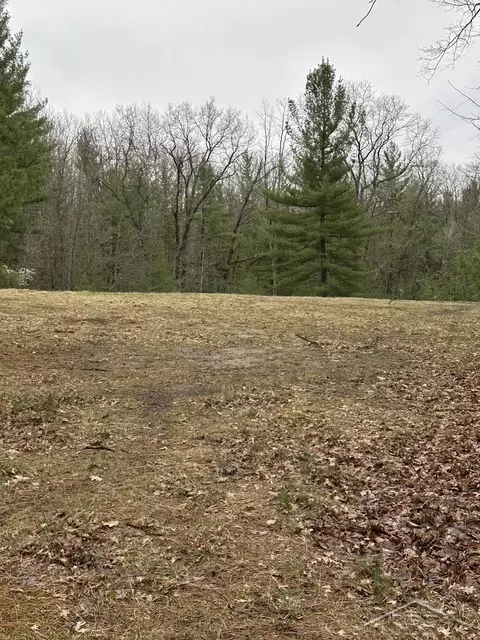 Vl Pineview, Alger, MI 48610