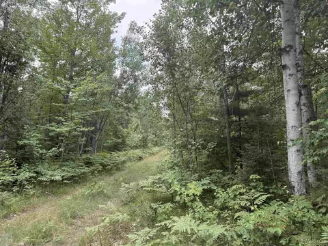 10 Ac Paint Riv, Crystal Falls, MI 49920