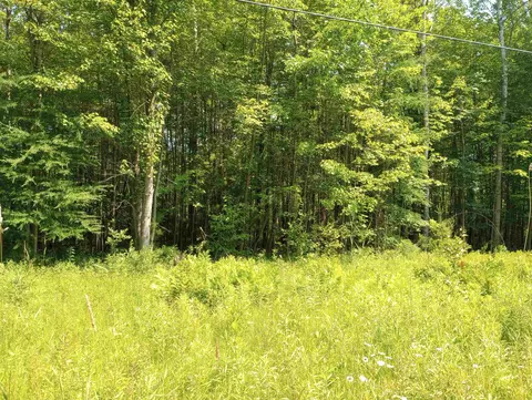lot Apt 4 Happy, Beaverton, MI 48612