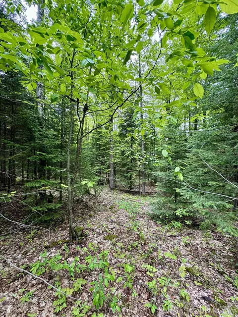tbd Maple Rdg #LOT 3, Negaunee, MI 49866 photo 5
