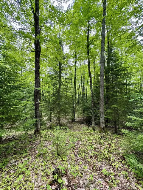 tbd Maple Rdg #LOT 3, Negaunee, MI 49866 photo 6