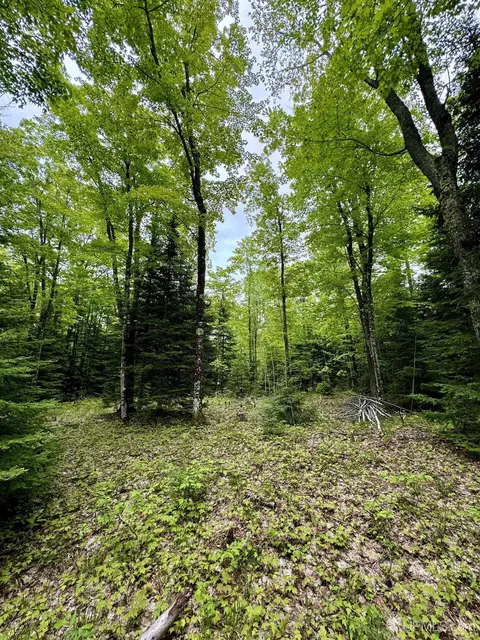 tbd Maple Rdg #LOT 3, Negaunee, MI 49866 photo 9