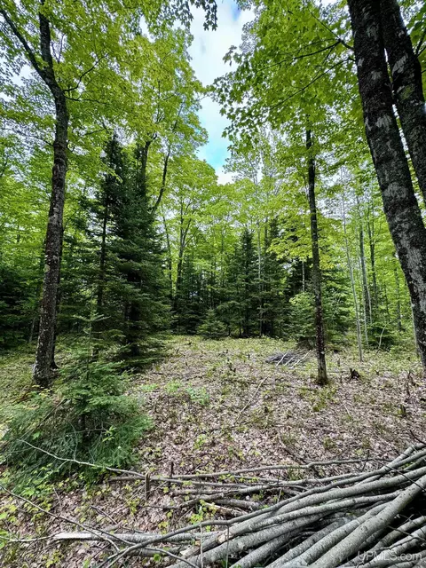 tbd Maple Rdg #LOT 3, Negaunee, MI 49866 photo 7