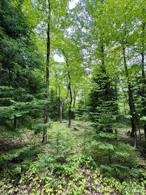 tbd Maple Rdg #LOT 3, Negaunee, MI 49866 photo 8