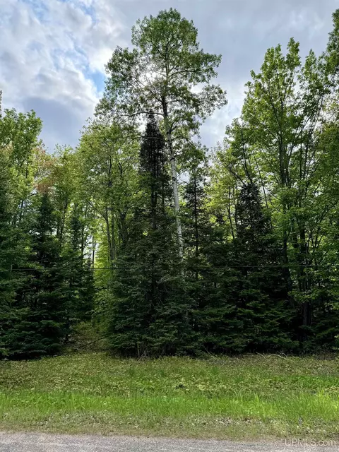 tbd Maple Rdg #LOT 3, Negaunee, MI 49866 photo 2