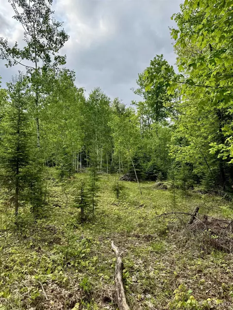 tbd Maple Rdg #LOT 3, Negaunee, MI 49866 photo 3