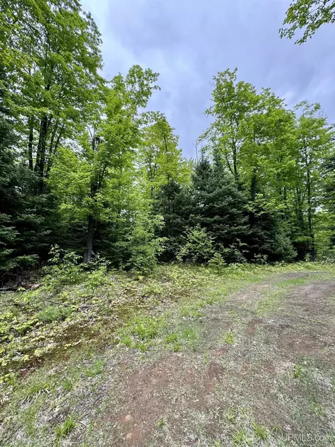 tbd Maple Rdg #LOT 3, Negaunee, MI 49866 photo 4