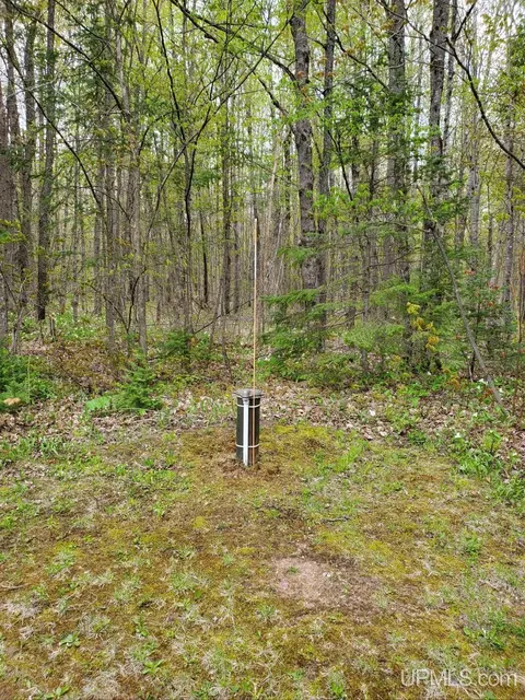 E4381 23rd, Chatham, MI 49816 photo 55