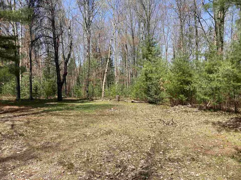 Exterior - 115 S Elm, Gladwin, MI 48624 photo 13 of 14